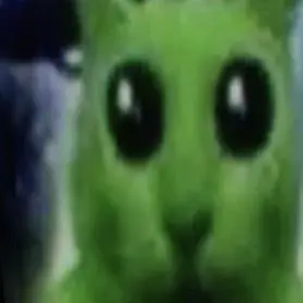 Profile image of Kyle