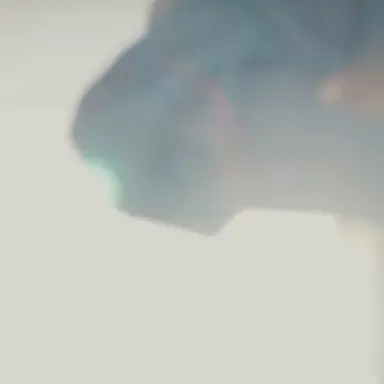 Profile image of 吉田仁人