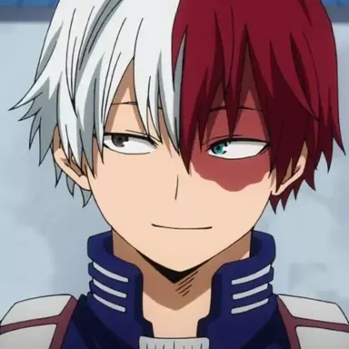 Profile image of Shoto Todoroki