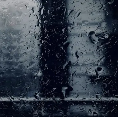 Profile image of 스프런키