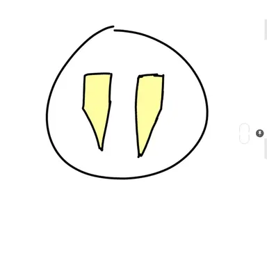 Profile image of 앰퍼