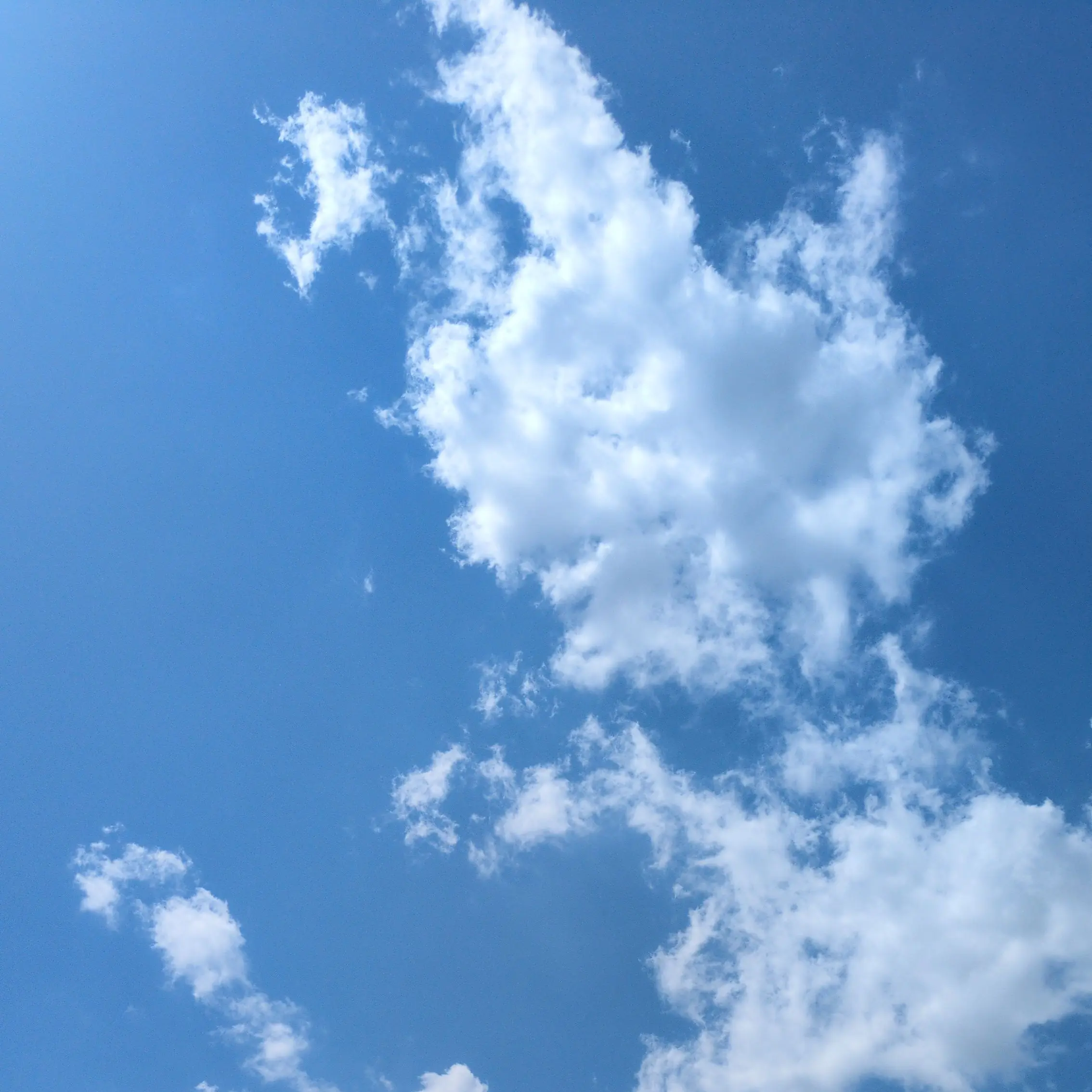AmusedCake060의 自由な世界