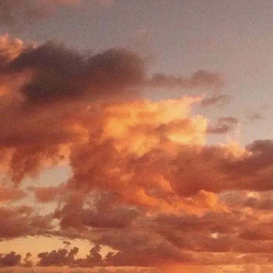 Ddikong123의 " 너만을 사랑할게 . "