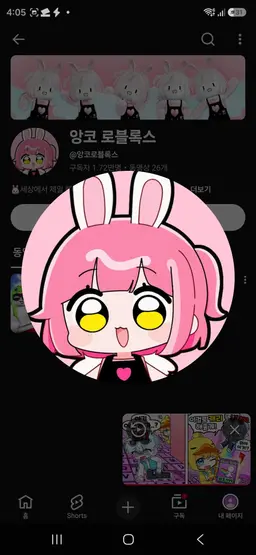 Profile image of 앙코 루미