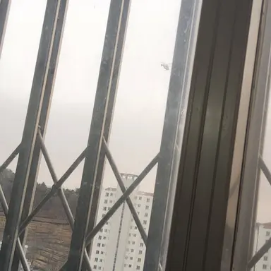 Profile image of 레이마