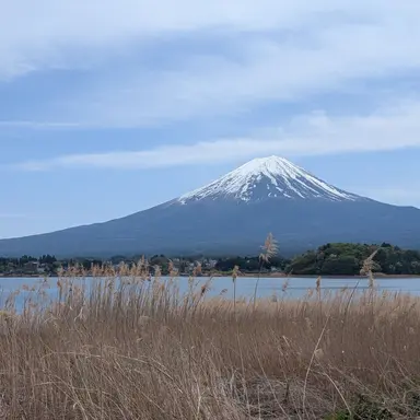 Profile image of ブリ子