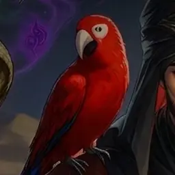 Profile image of ハビブ