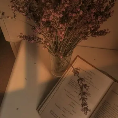 Profile image of 쉐라