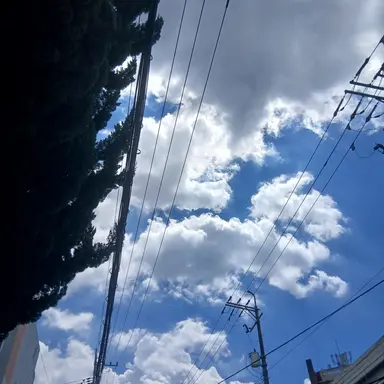 Profile image of 한도진