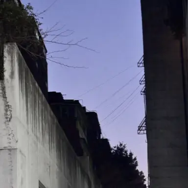 Profile image of 호시나 소우시로