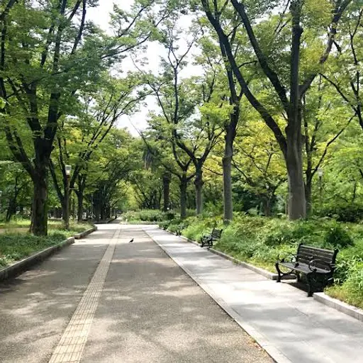 hokori_chan의 ゆっくりの居る世界
