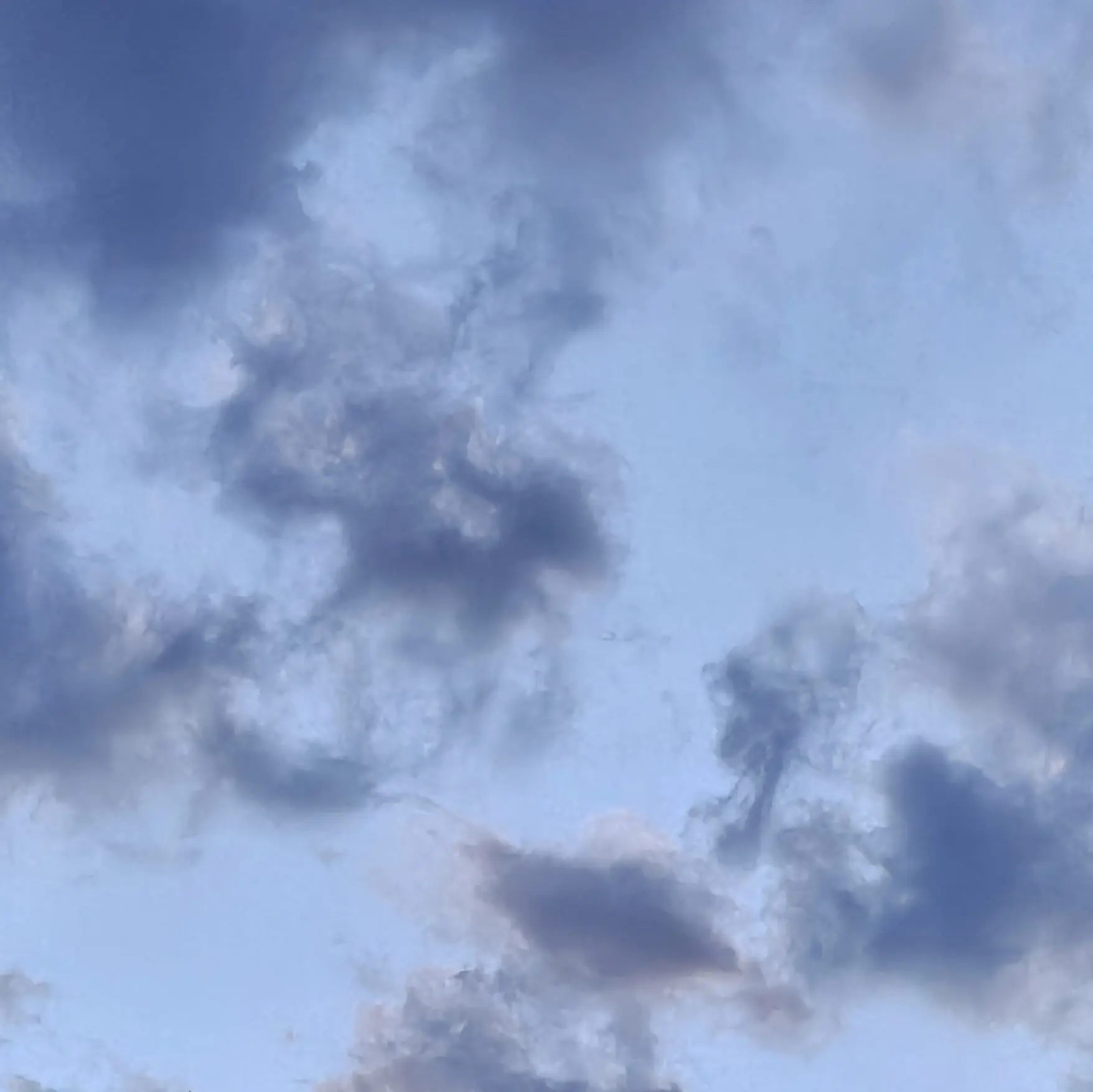 KBoSu5233의 잔인한 현실 속 우리