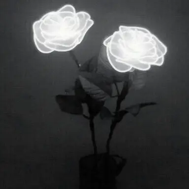 Profile image of 악마