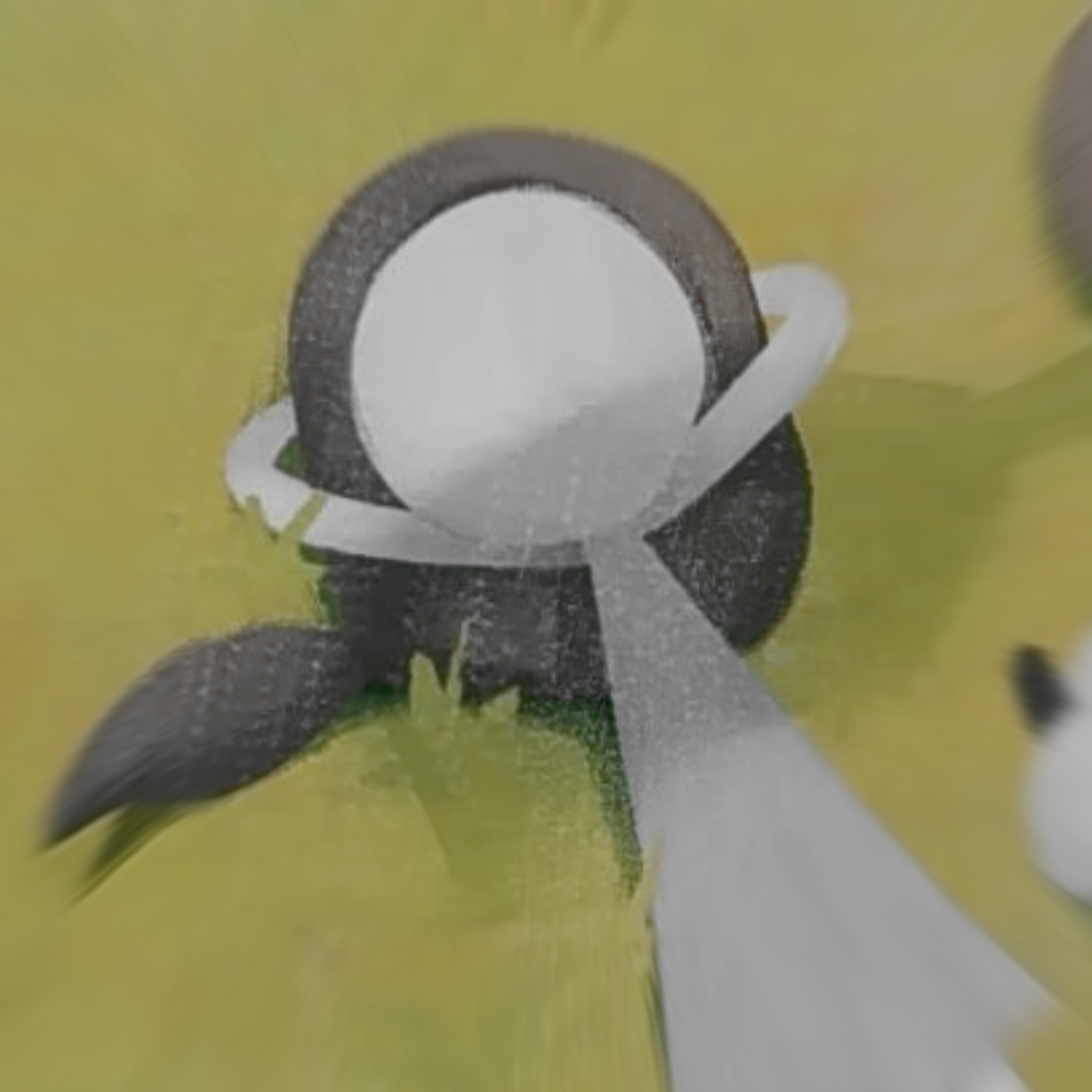 𝐌𝐢𝐭𝐬𝐢 대표 이미지
