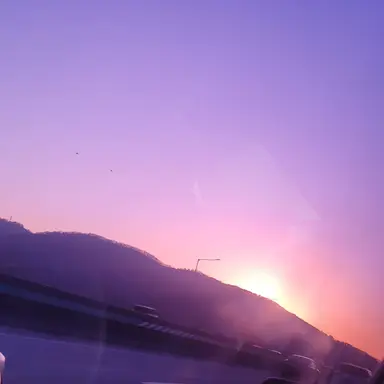 Profile image of 남선지