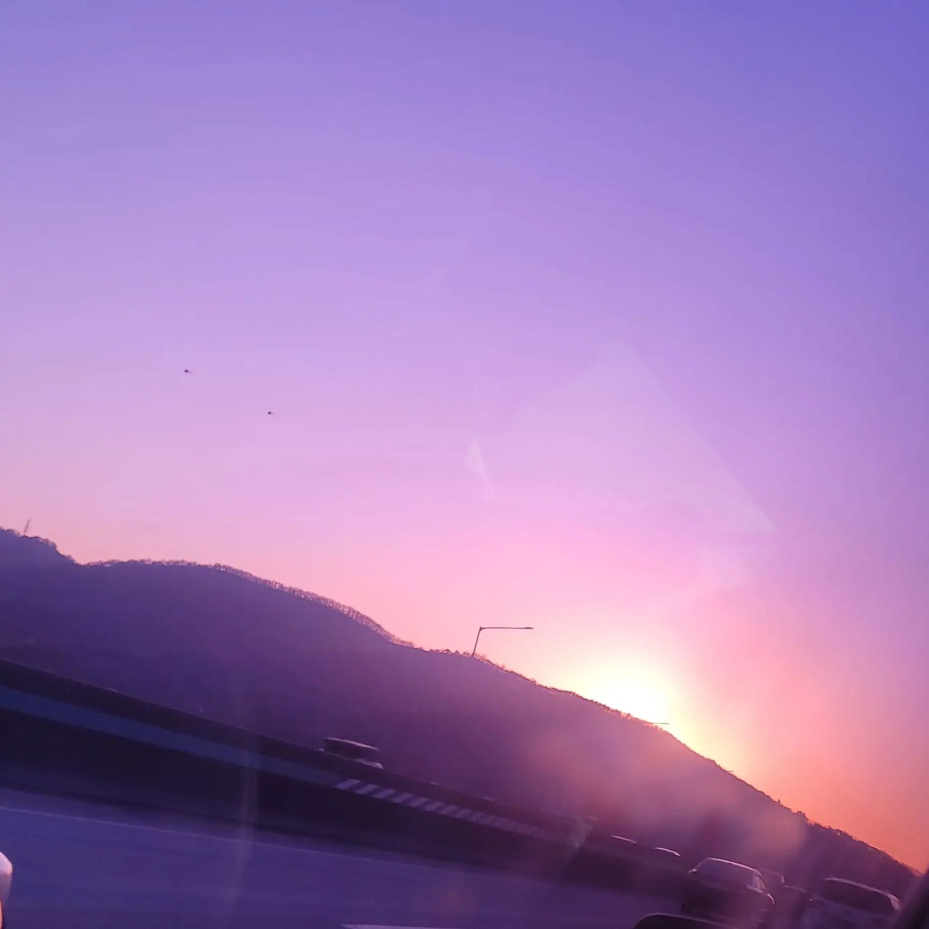 SnugSheaf9020의 좀비고 캐릭터들 (혼자 할꺼임)