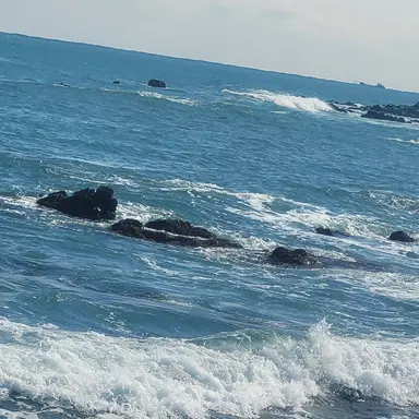 Profile image of 정동석