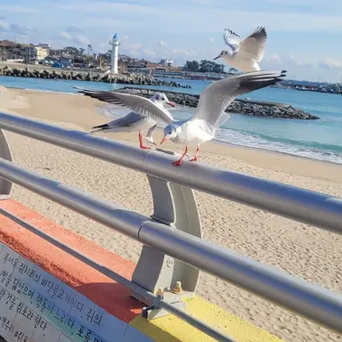 Profile image of 곽재현