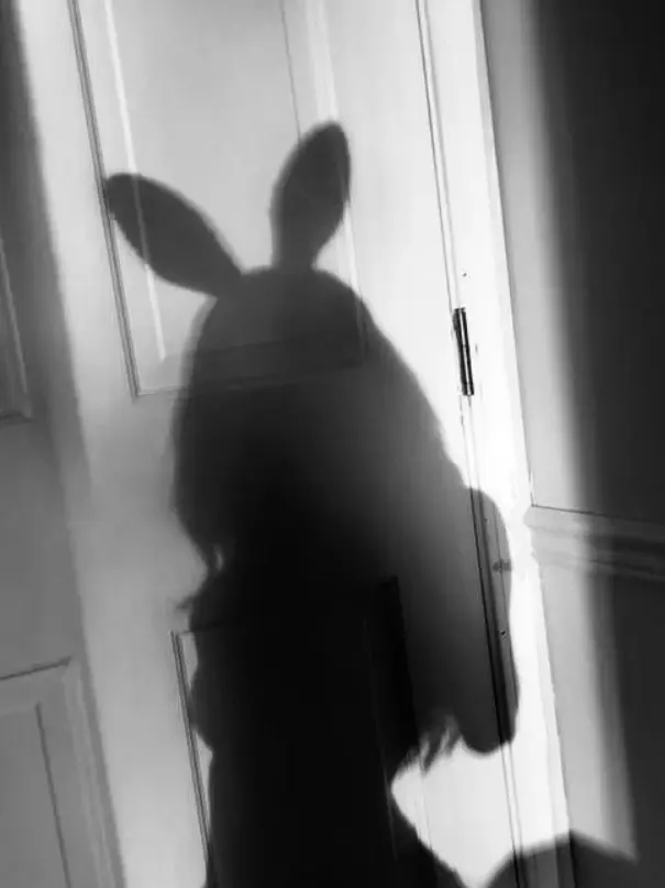 ShortPlain6860의 Bunny girl