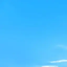 Profile image of ゆう