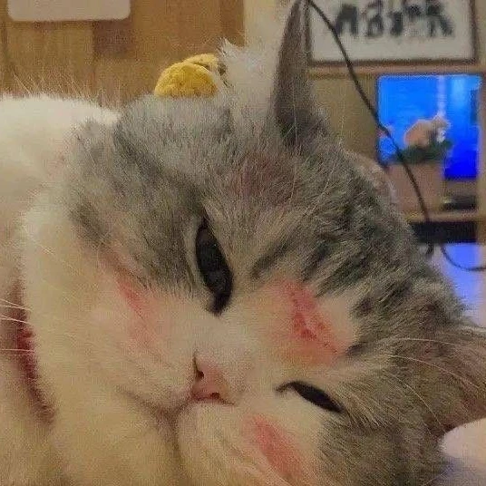 김규빈