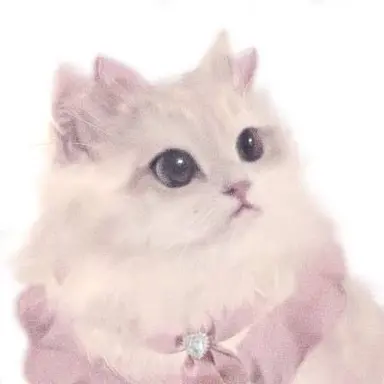 Profile image of 猫の姿
