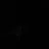 Profile image of 相澤消太