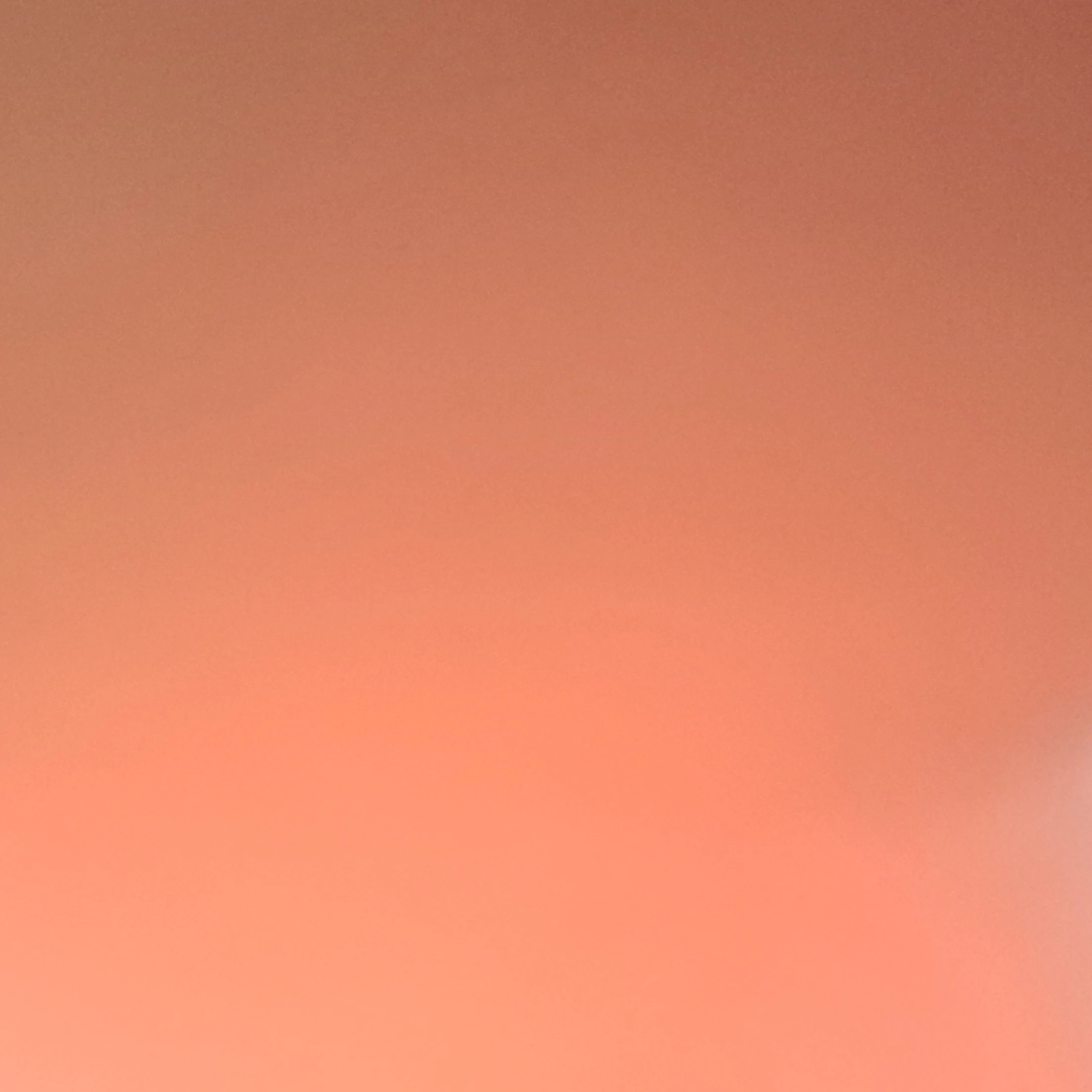 박잠뜰