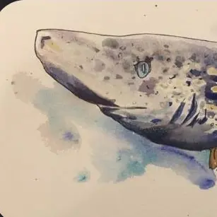 Profile image of illyomnia Lake Monster