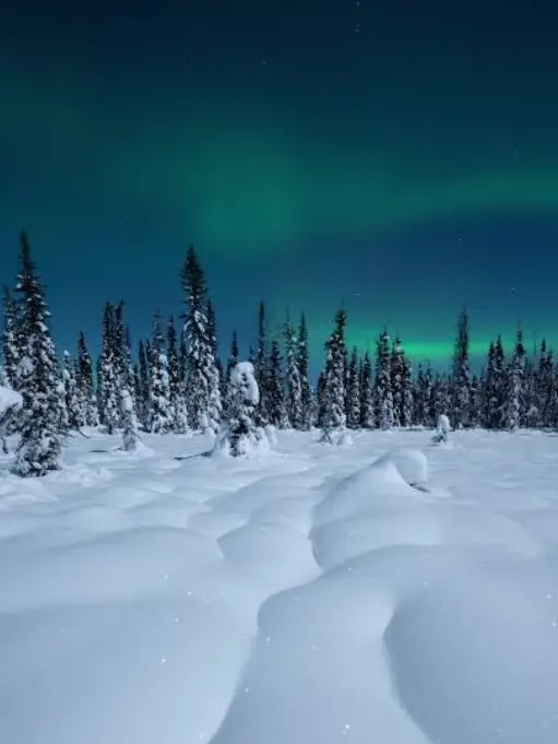 blatantlyAFurry의 Alaska—Cryptics [Beta]