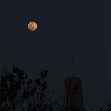 Profile image of 김애리