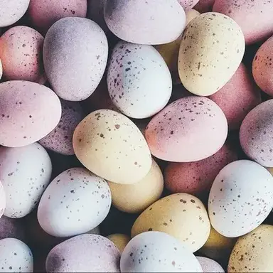 Profile image of Anthro Bunny TF