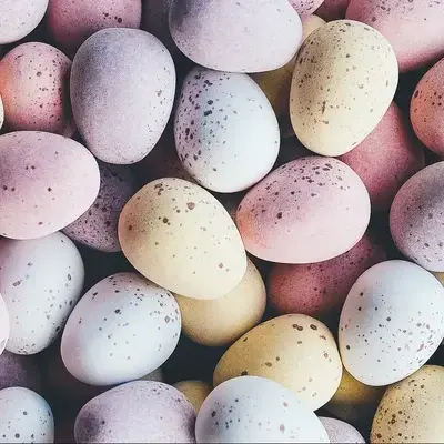 SpikyRaw8146의 Anthro Bunny TF