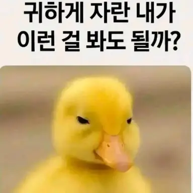 Profile image of 짤