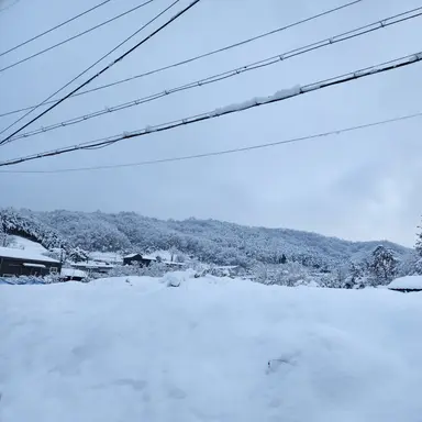 Profile image of 리안