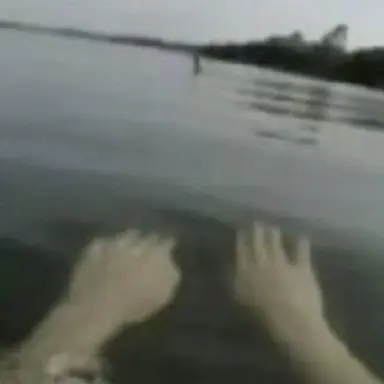 Profile image of Theron