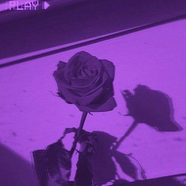 수현