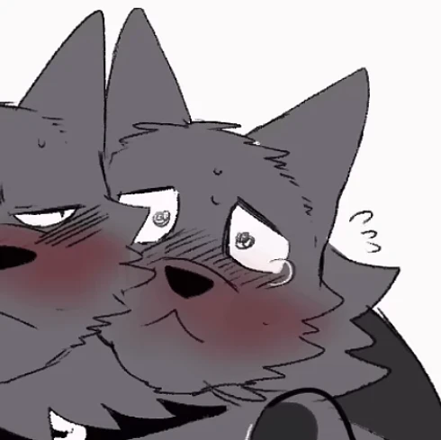 노아