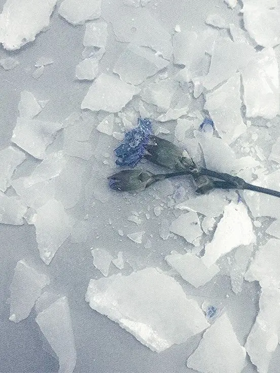 FlimsyRuler9387의 氷上のアナタへ