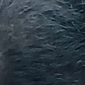Profile image of 이서현