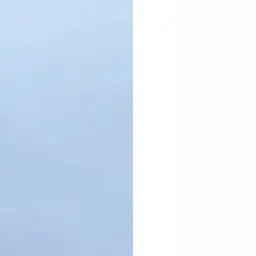 Wojd의 バーチャル