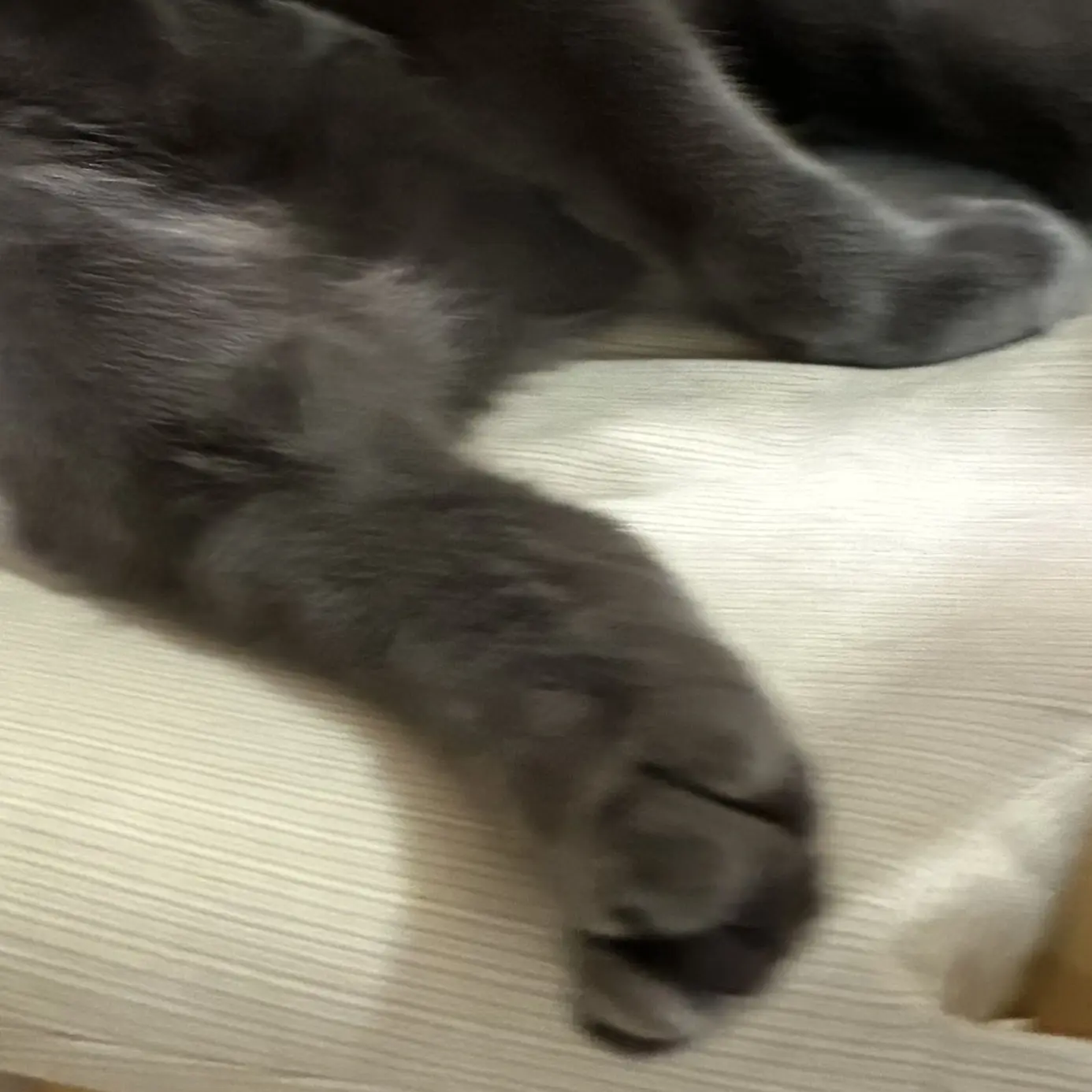 RainyOptic7150의 メロすぎるよ相棒くん