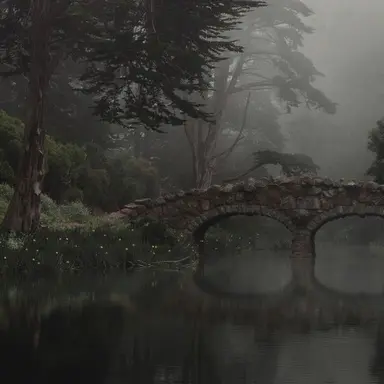 Profile image of 돌석