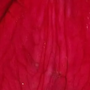 Profile image of 유기사