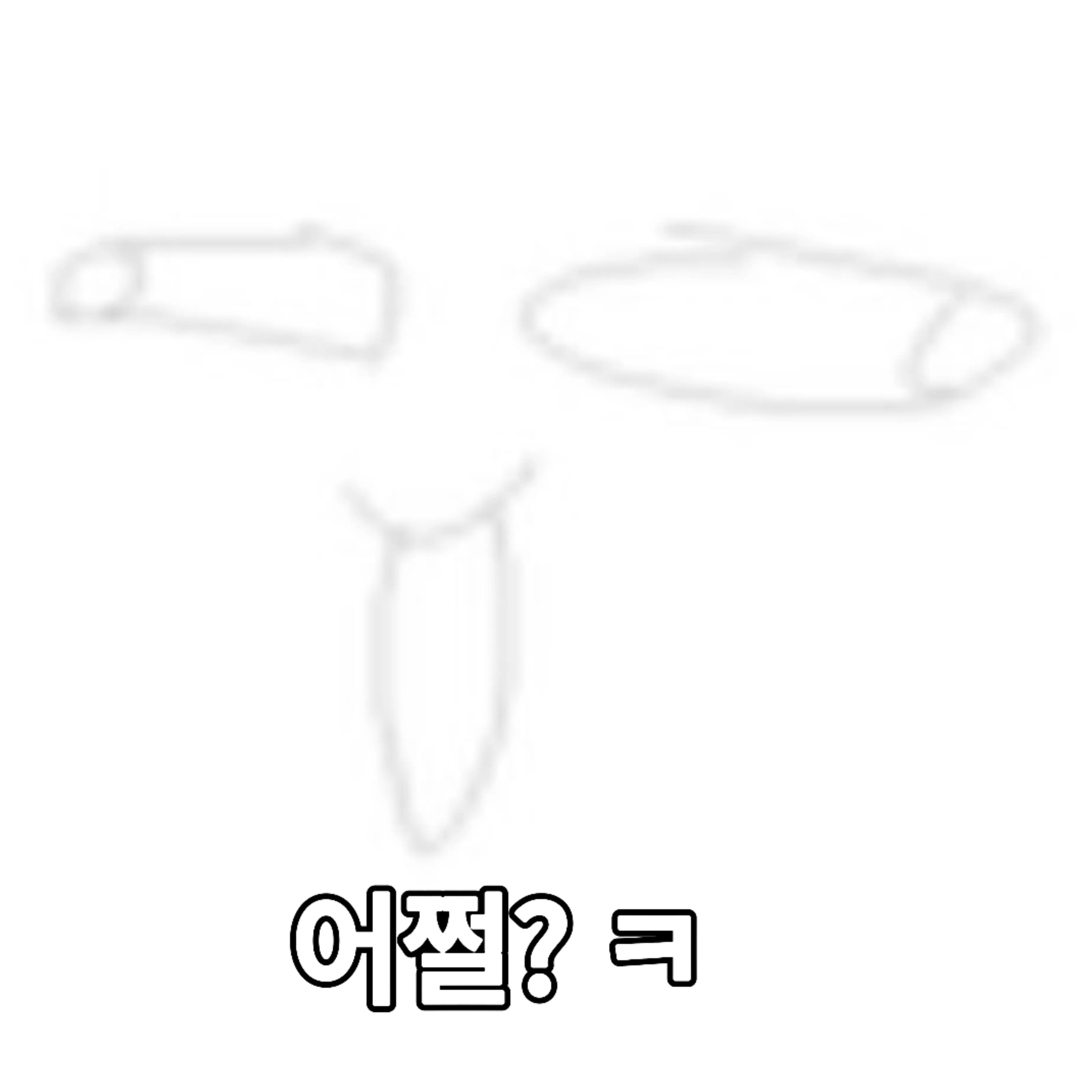 Rickrolludong의 광기의우동이