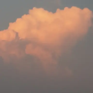 Profile image of 여자들