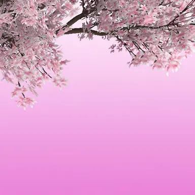 Profile image of 이 유 식