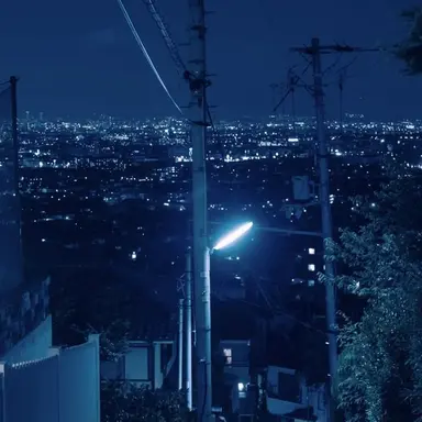 Profile image of 최진우