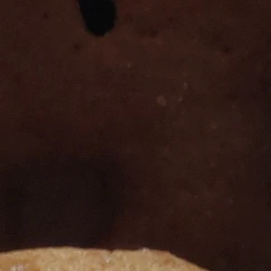 樋口 奏汰