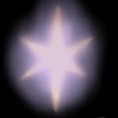 Profile image of 双明の聖光